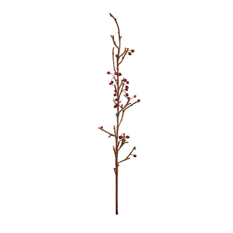 Crabapple Stem - New Growth Designs