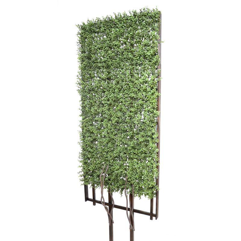 Boxwood on Wood Trellis - New Growth Designs
