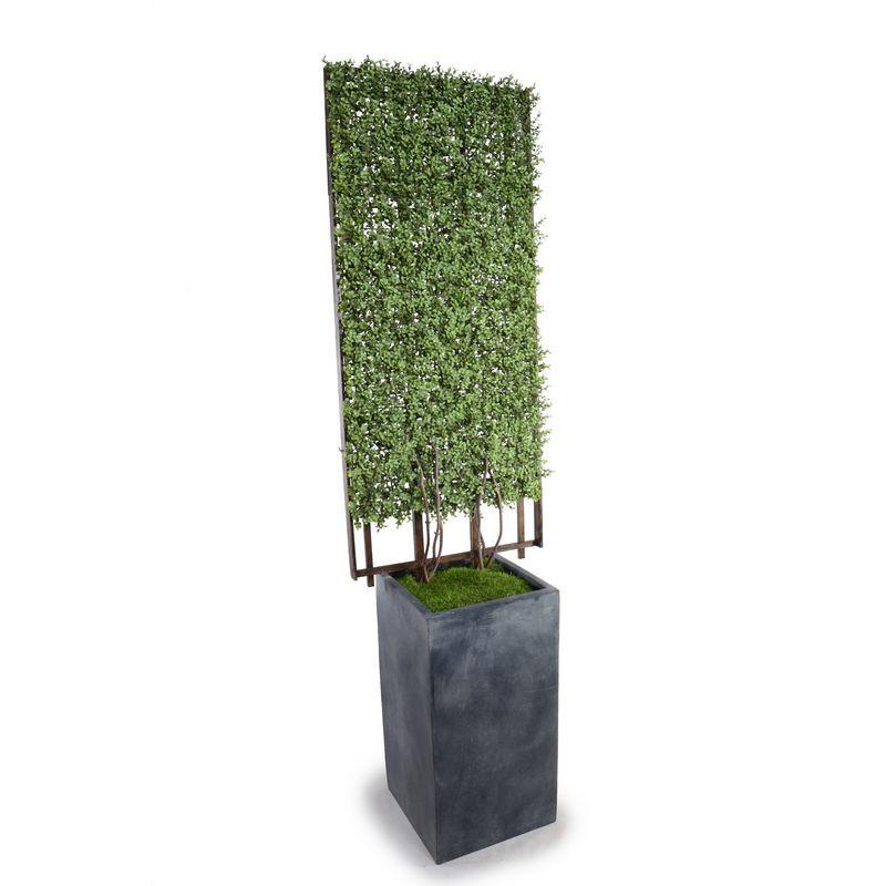 Boxwood Trellis in Column Pot - New Growth Designs