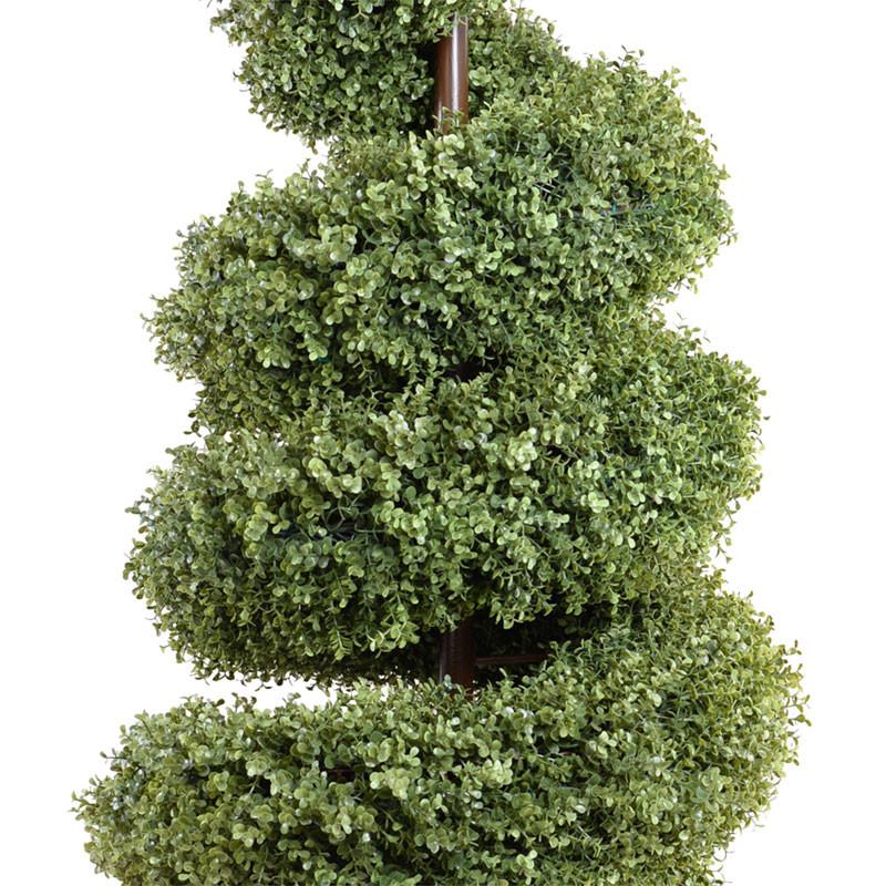 Boxwood Spiral - New Growth Designs