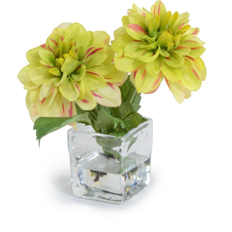 Dahlia Vase - New Growth Designs