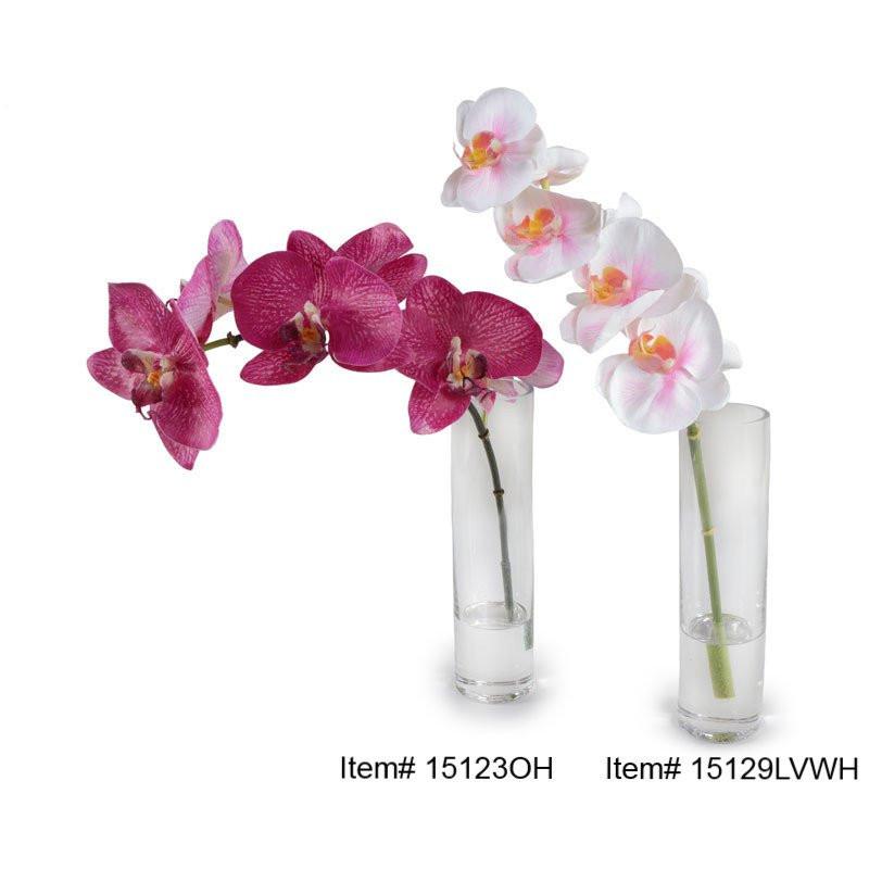 Phalaenopsis Orchid Vase (Duplicate)