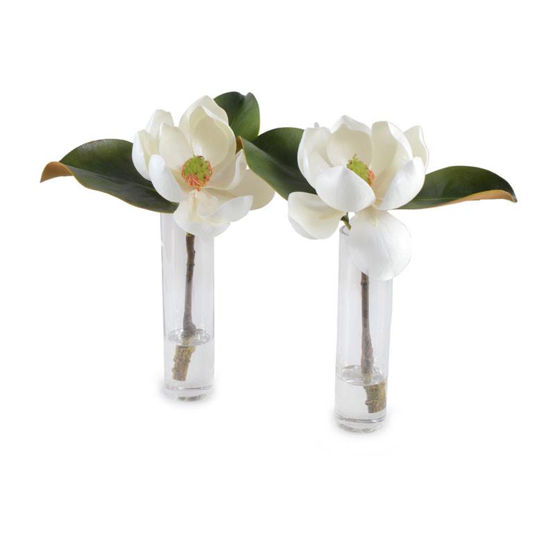 Magnolia Bloom in Vase