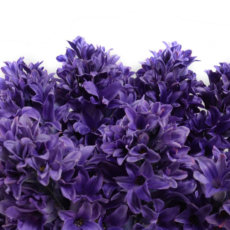 Hyacinth Arrangement - New Growth Designs