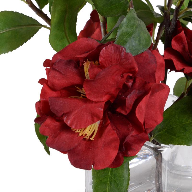 Camellia, Red - New Growth Designs