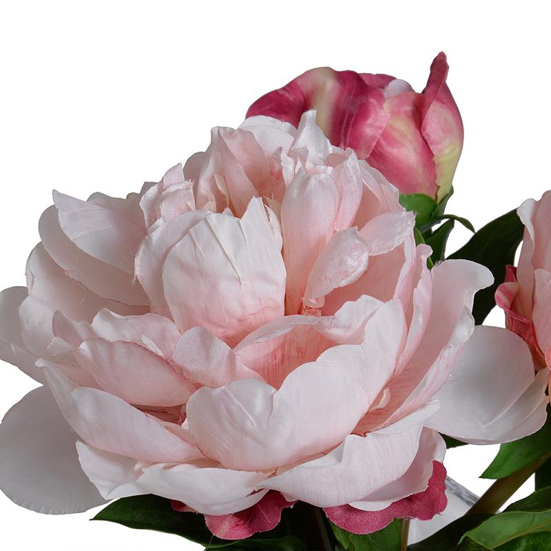 Peony Arrangement in Glass Cube