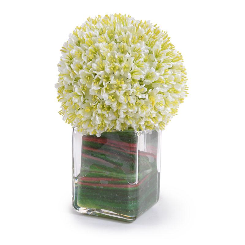 Allium Cube - New Growth Designs