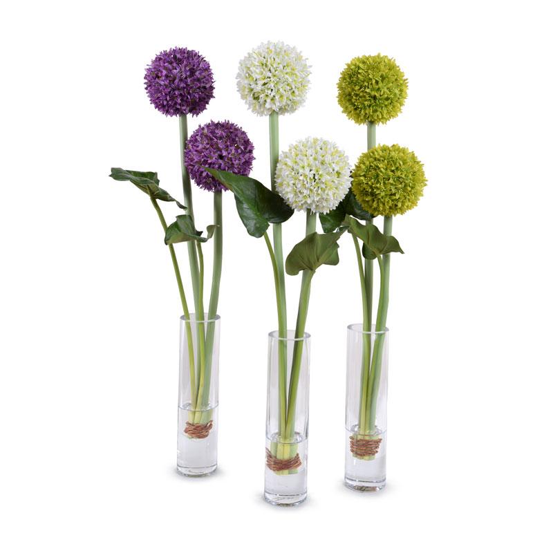 Allium - New Growth Designs