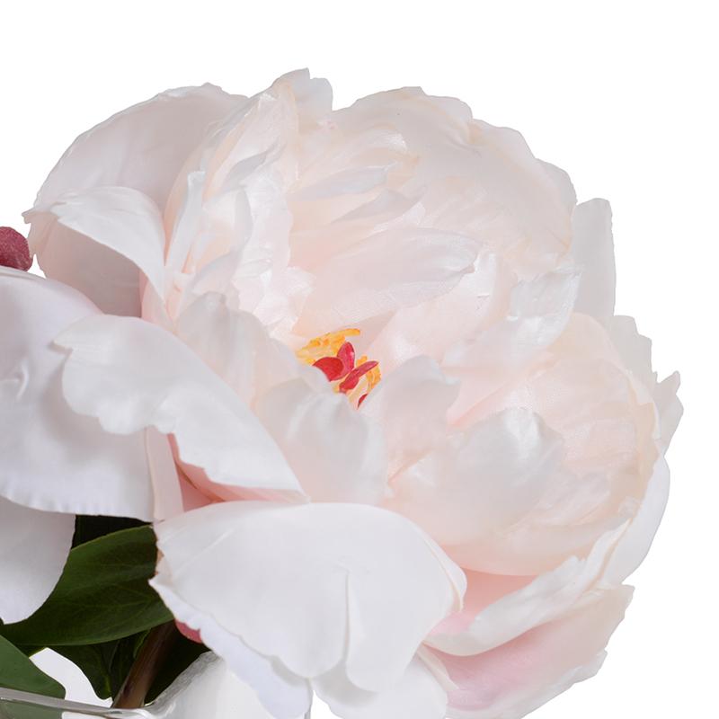 Peony Cutting (Duplicate)