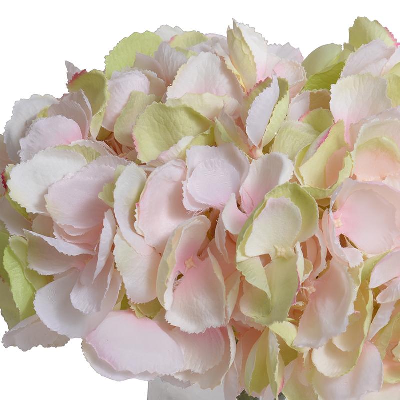 Hydrangea Blossoms - New Growth Designs