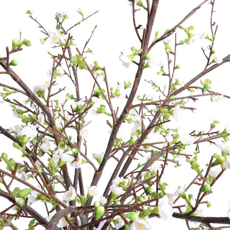 Quince Arrangement, White