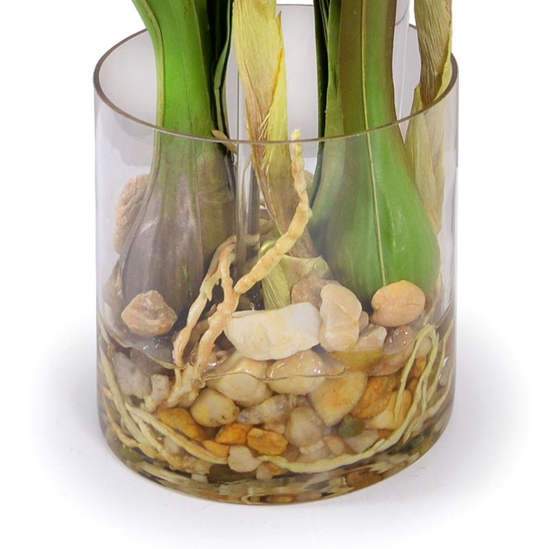 Cymbidium Orchid - New Growth Designs