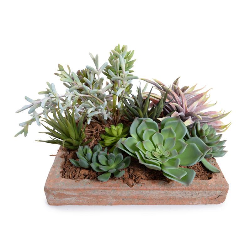 Succulents Garden