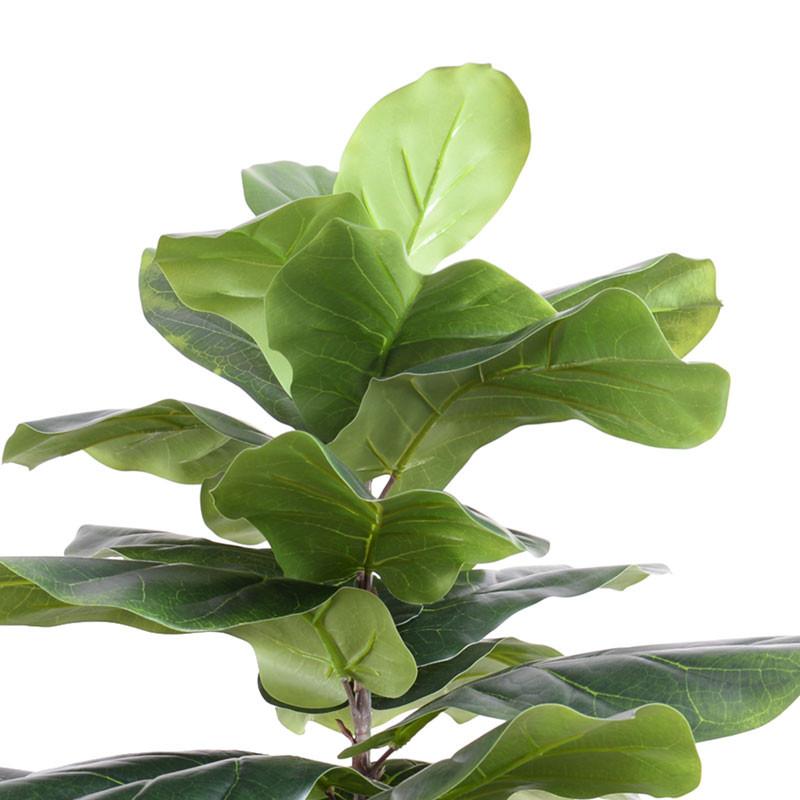 Fiddle-leaf Fig Tree, 58"H - New Growth Designs
