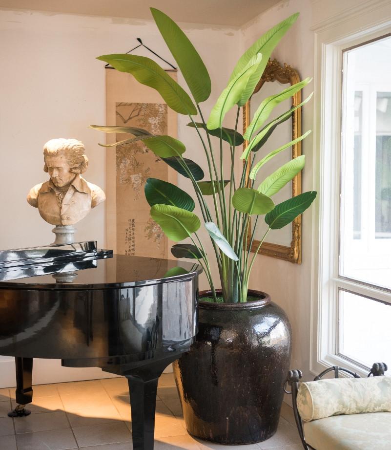 Palm Tree, Traveller's 7'