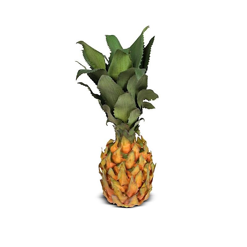 Small Pineapple