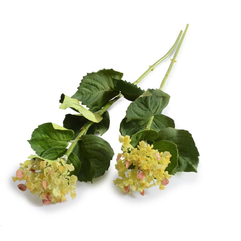 Hydrangea Bud Stem - New Growth Designs