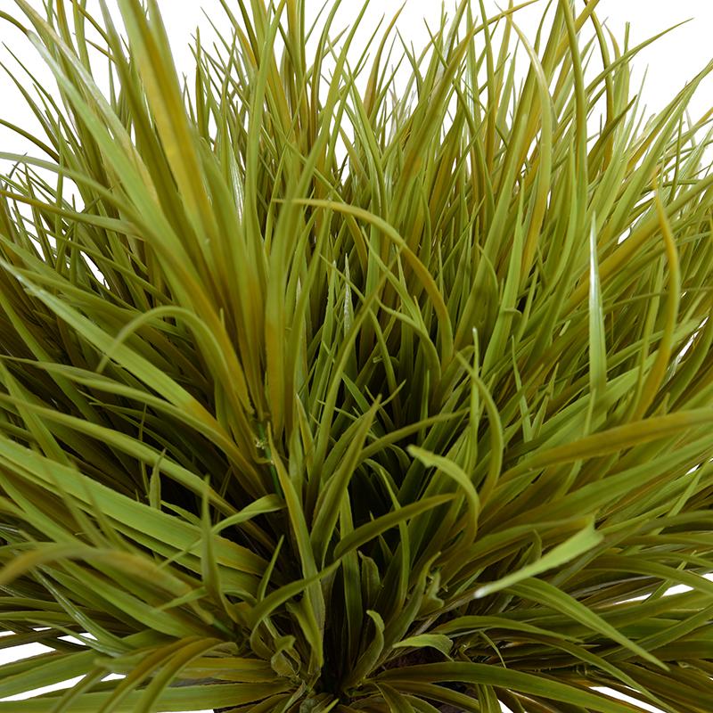 Enduraleaf Orchard Grass in 9" Pot