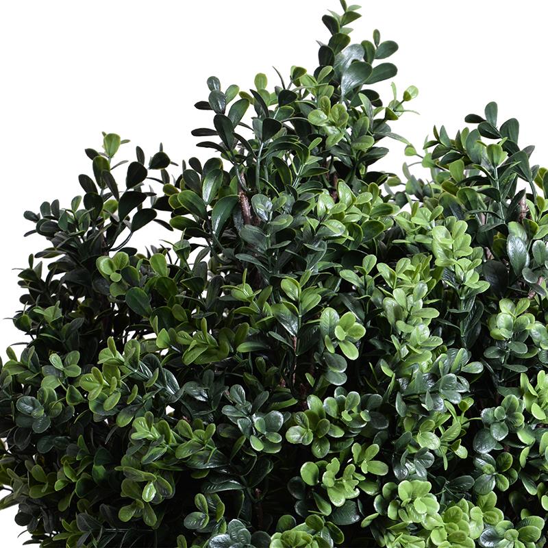 Boxwood Shrub, 28"H