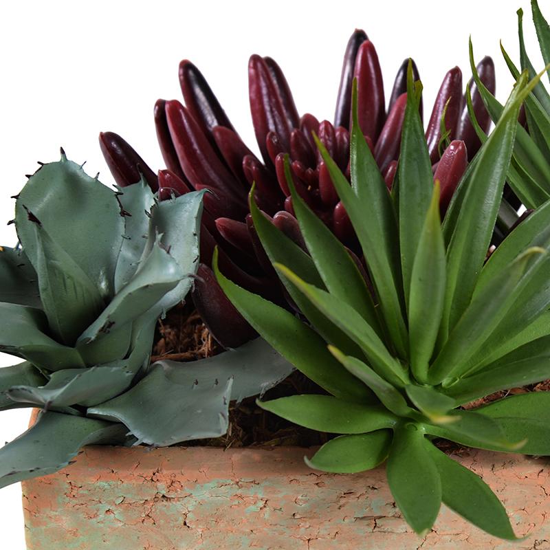 Mixed Succulents in Rustic Terracotta