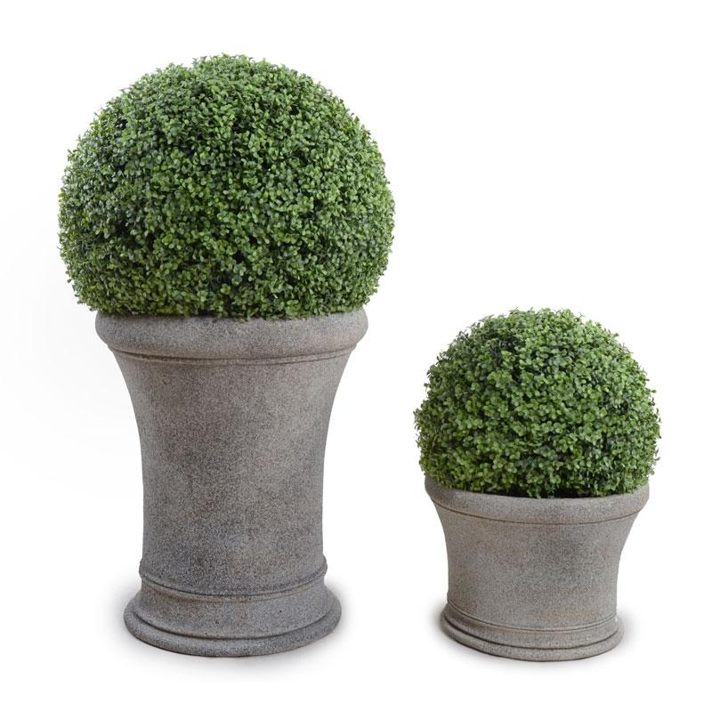 22" Boxwood Drum Topiary - New Growth Designs