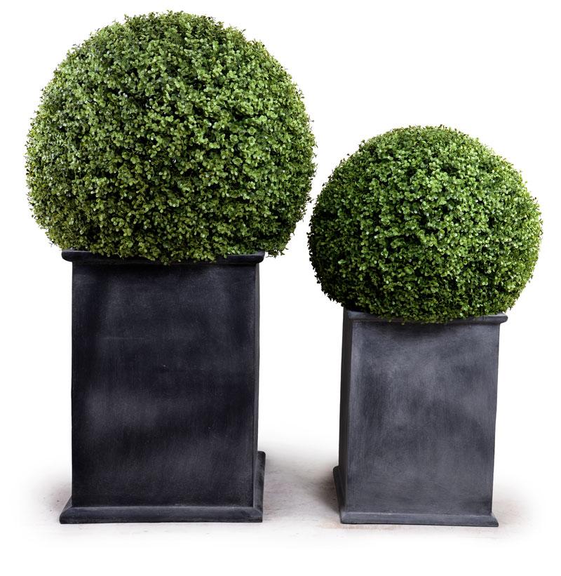 22" Boxwood Ball Topiary - New Growth Designs
