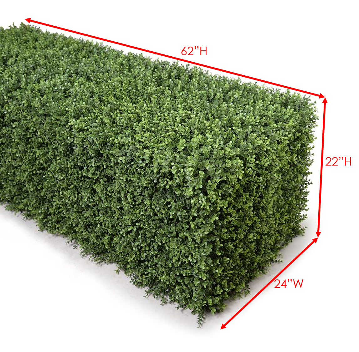 62" Boxwood Hedge (Extra Wide)