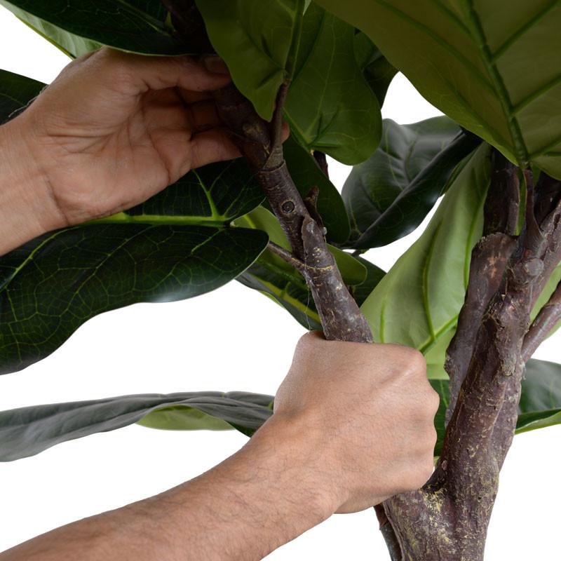Fiddle-Leaf Fig Tree, 10' - New Growth Designs
