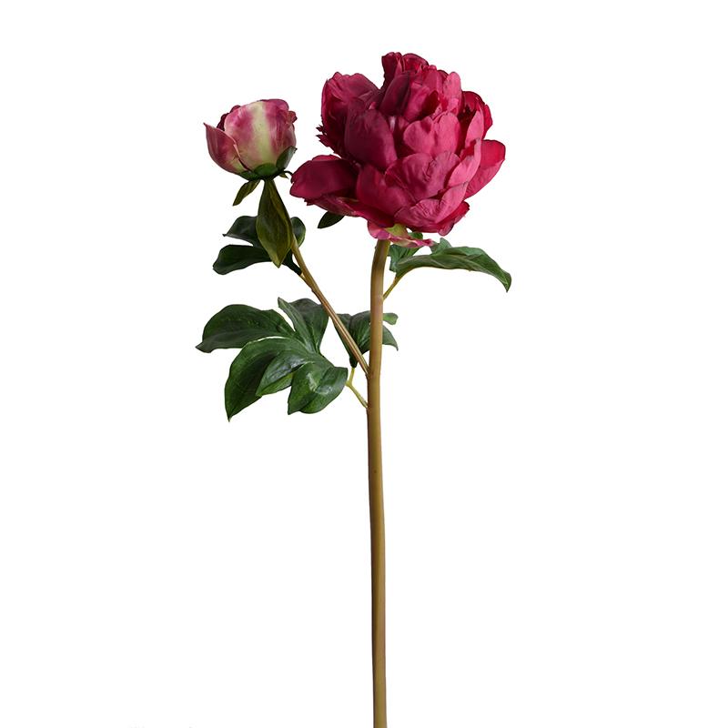 Peony Stem with Bud, Large