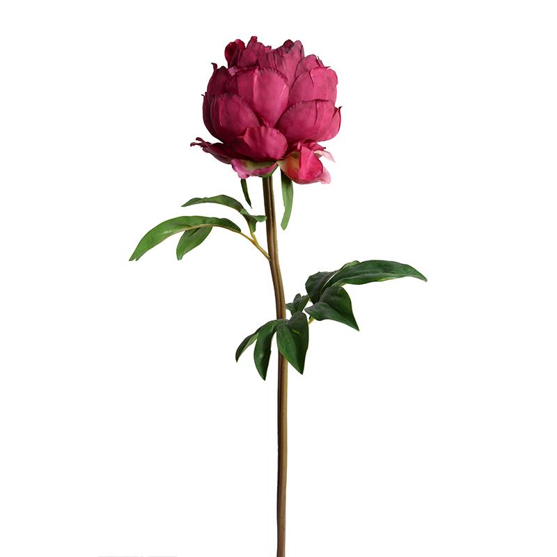 Peony Stem, Large