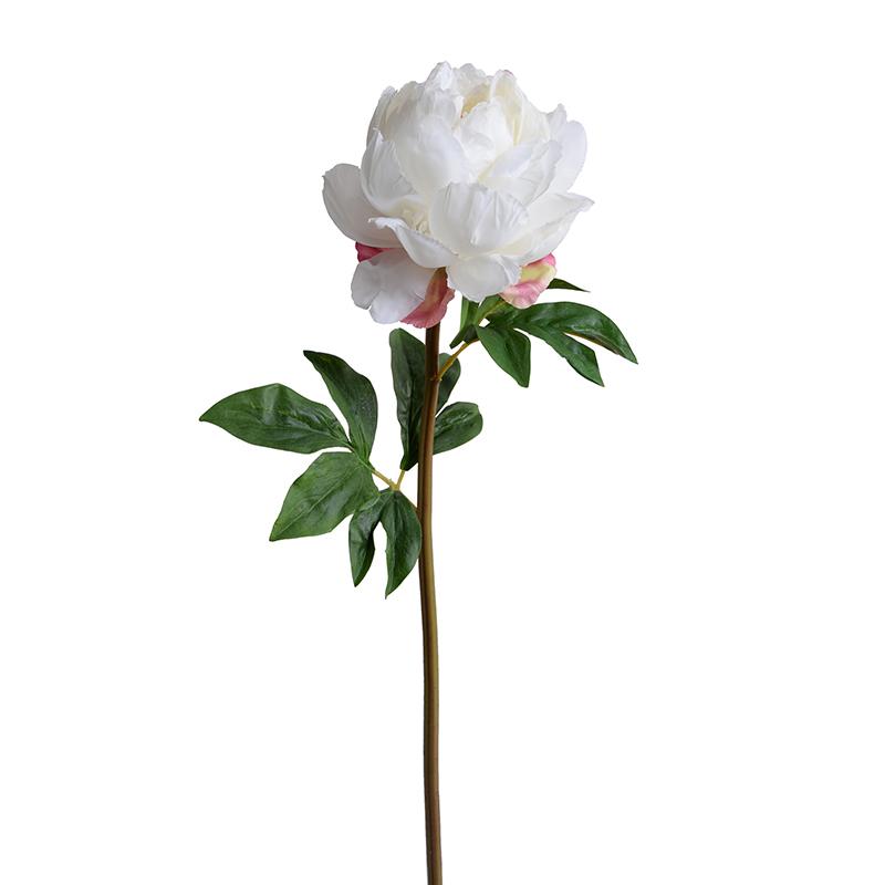 Peony Stem, Large