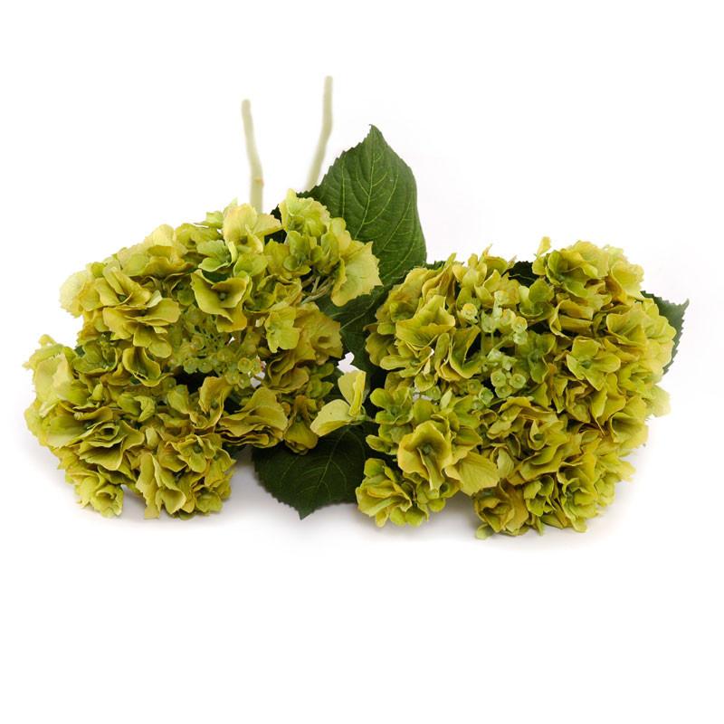 Hydrangea Flower Stem - New Growth Designs