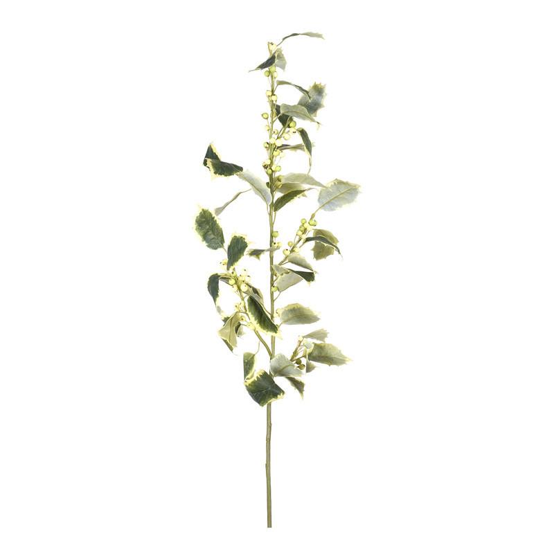 Holly Stem, variegated - New Growth Designs