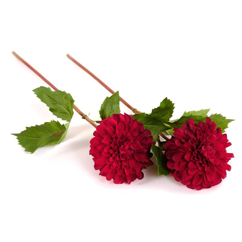 Dahlia Flower Stem - New Growth Designs