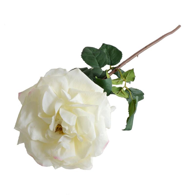 Rose Stem, White