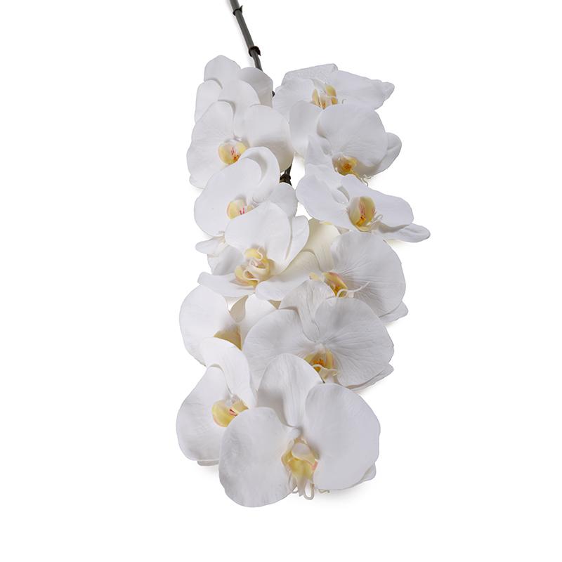 Phalaenopsis Orchid stem x 12, 44"L