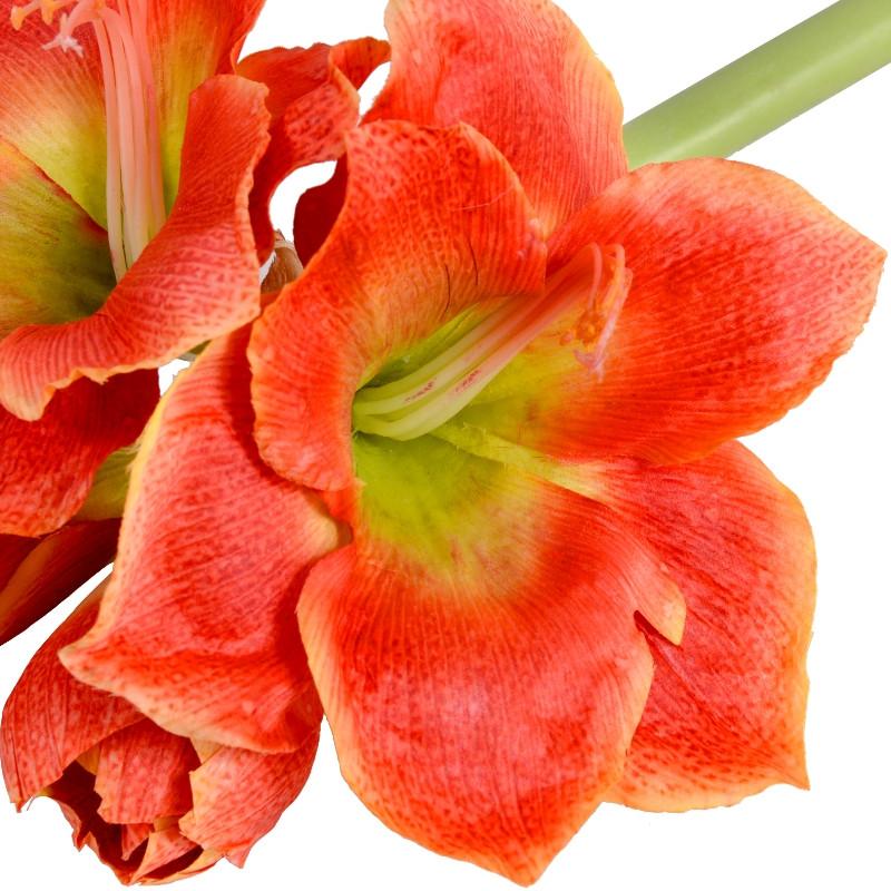 Amaryllis Stem - New Growth Designs