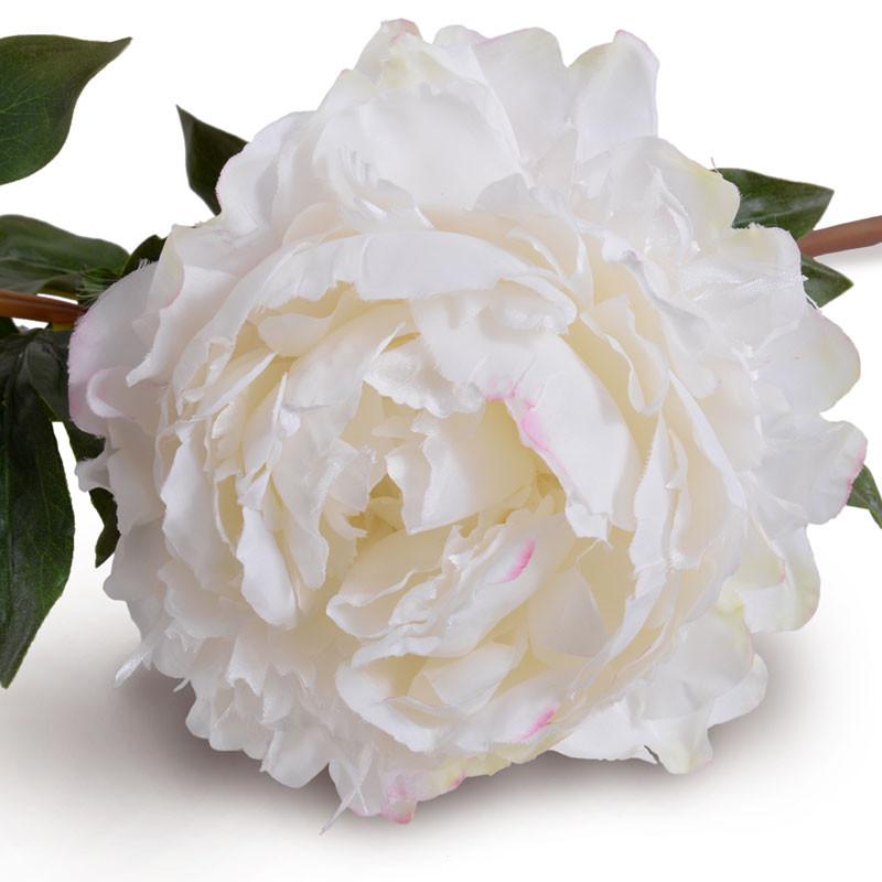 Peony Stem with Bud, Large