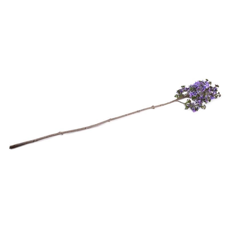 Lilac Branch, Lavender