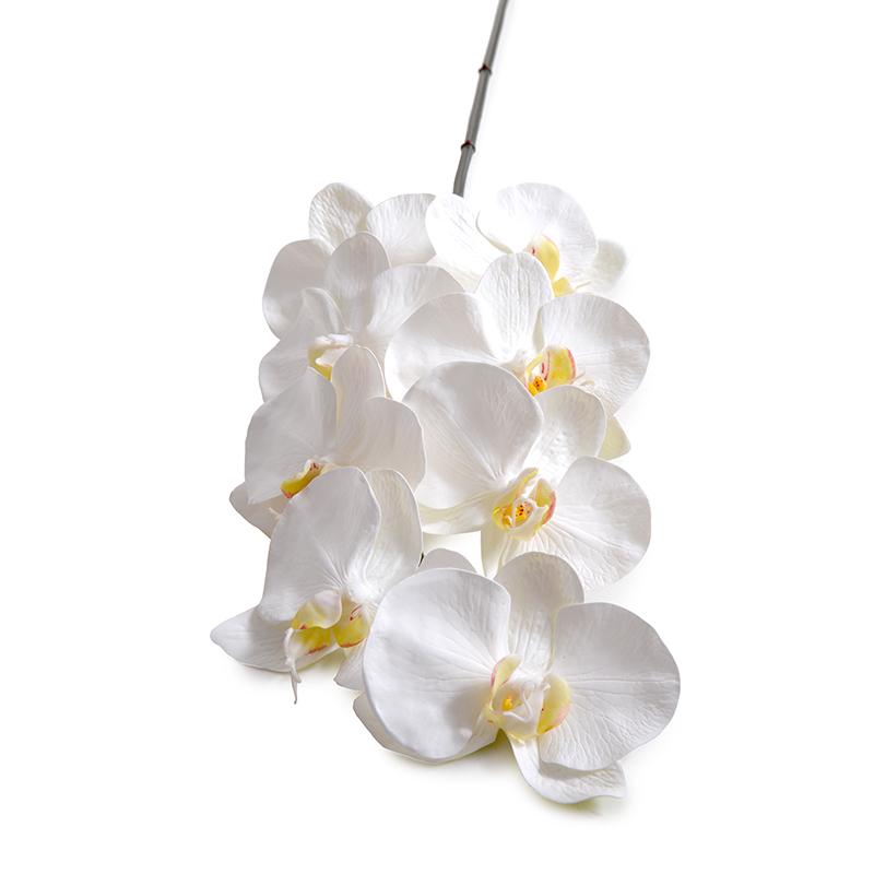Phalaenopsis Orchid stem x 8, 37.5"L