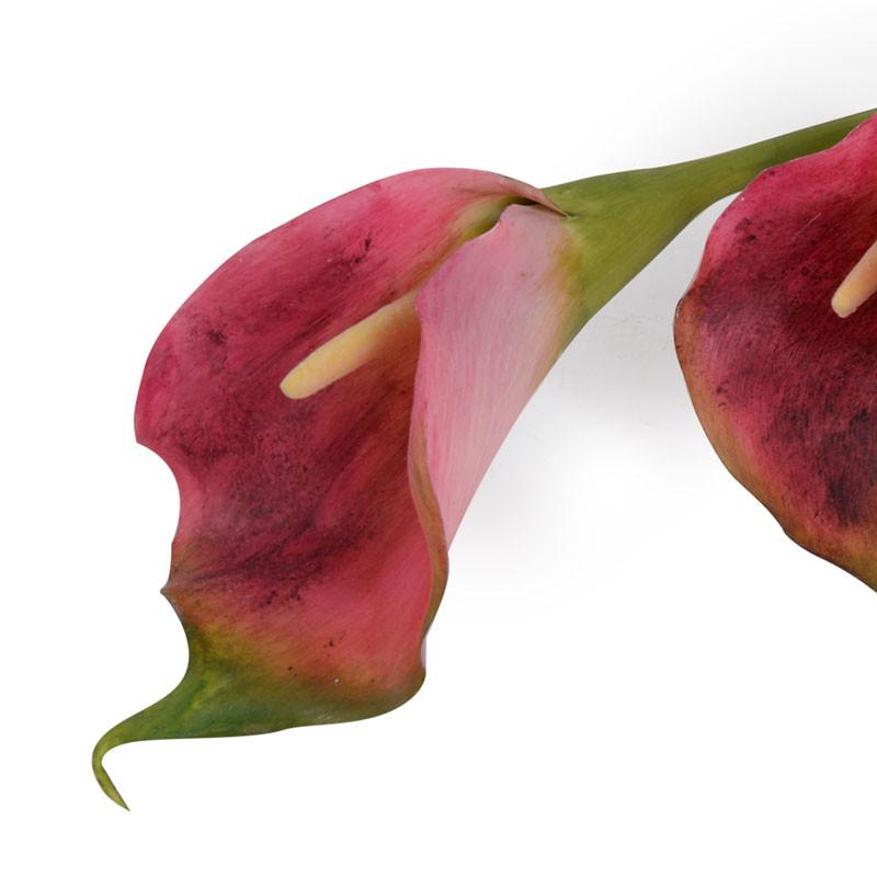 Calla Lily Stem, Burgundy-green 22" - New Growth Designs