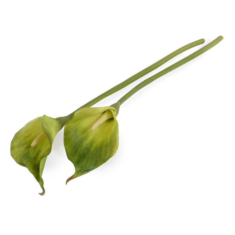 Calla Lily Stem, Green 22" - New Growth Designs