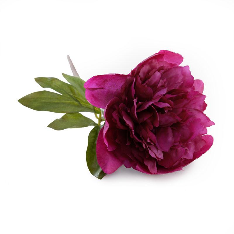 Peony Stem with Leaf