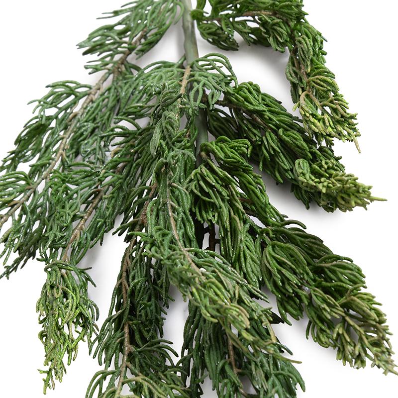 Cedar Spray - New Growth Designs