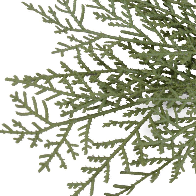 Cedar Spray - New Growth Designs