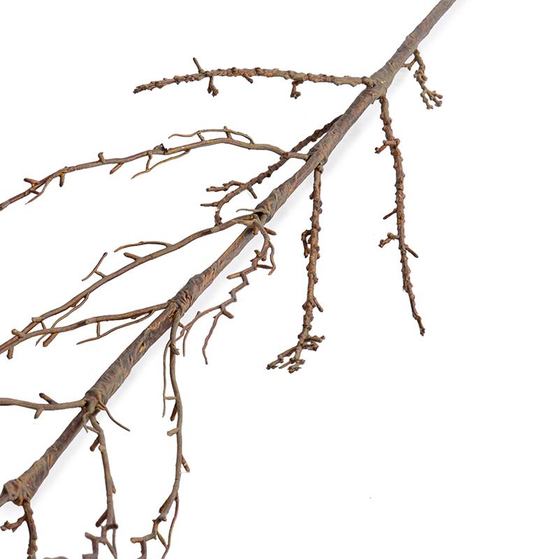 Forsythia Branch