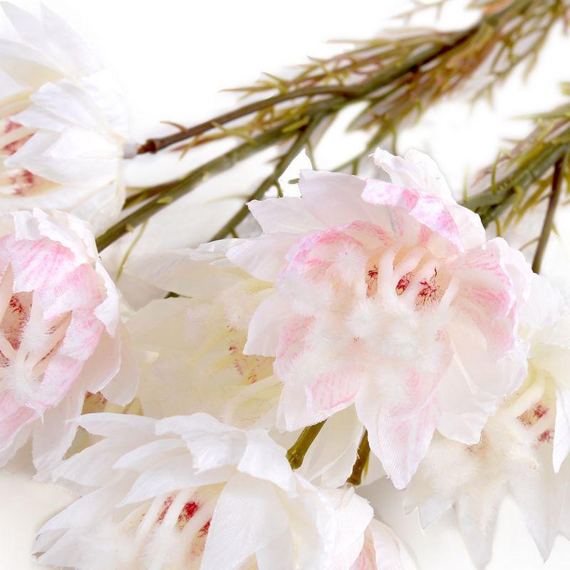 Protea Flower Stem, Pink-white