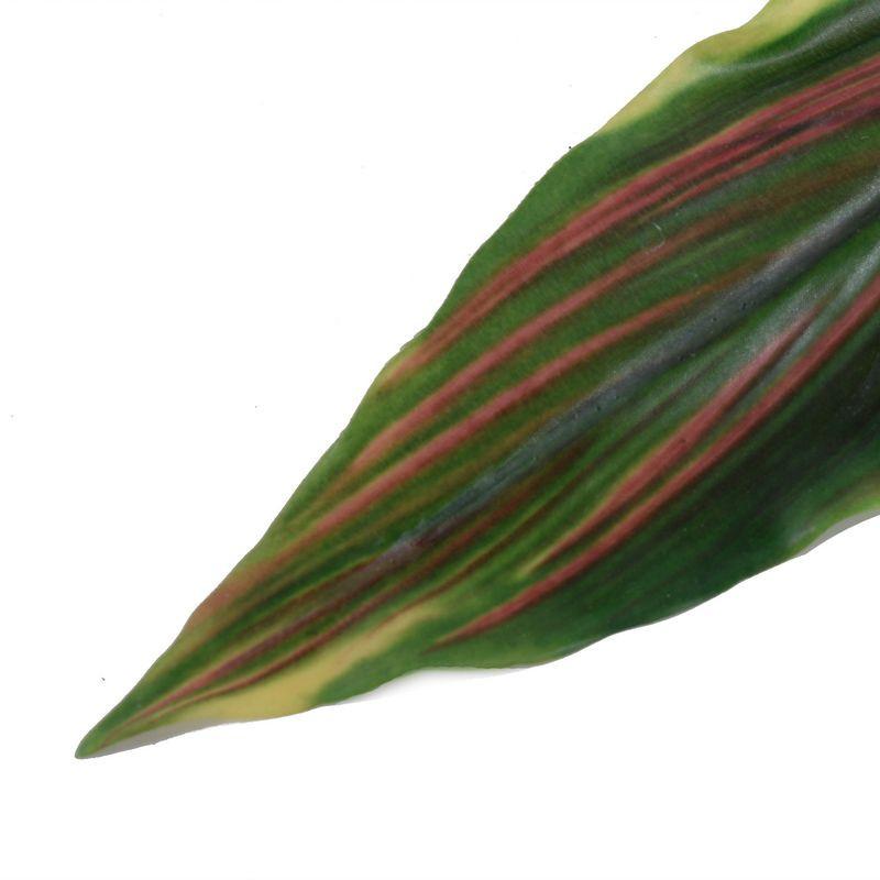 Aspidistra Leaf - New Growth Designs