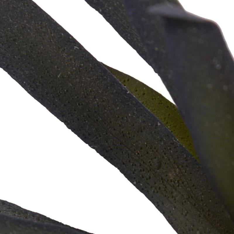 Succulent, Agave 8.5"