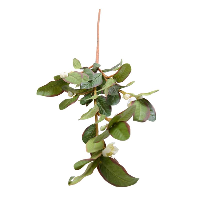 Pomegranate Branch, White Flowers